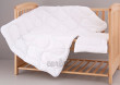 Výplň do soupravy peřinka+polštářek 120x90 + 60x40 cm Julie (microfibre)