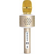 Mikrofon karaoke Bluetooth na baterie s USB kabelem - Zlatý