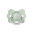 Dudlík SX Pro fyziologický Butterfly Wonderland New 0-6 m Suavinex  - Zelený
