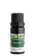 Bergamot 2 ml tester sklo