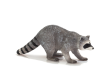 Mojo Mýval