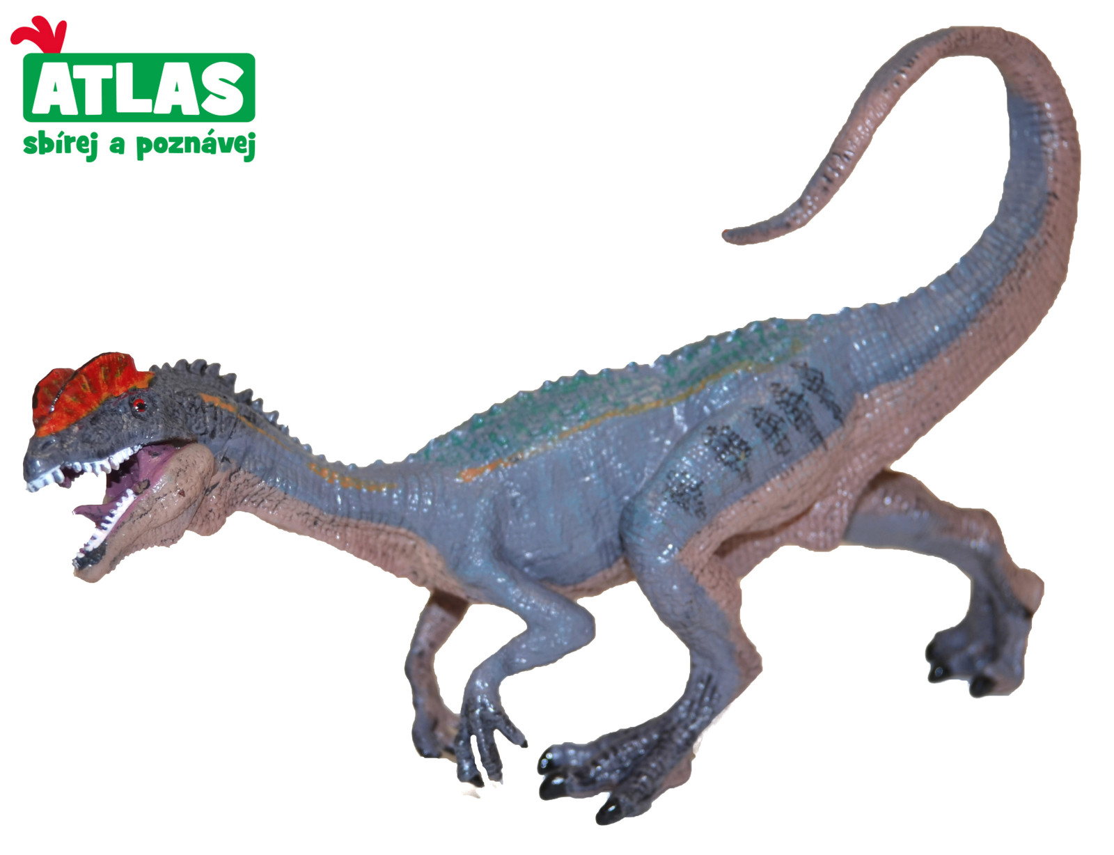 Atlas Figurka Dino Dilophosaurus 15 cm