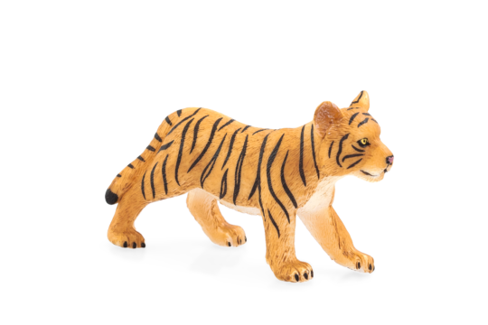 Mojo Tygr bengálský mládě stojící