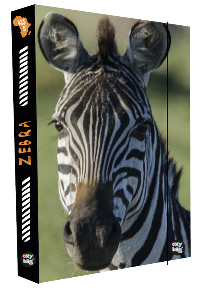 Karton P+P Box na sešity A4 Jumbo Zebra