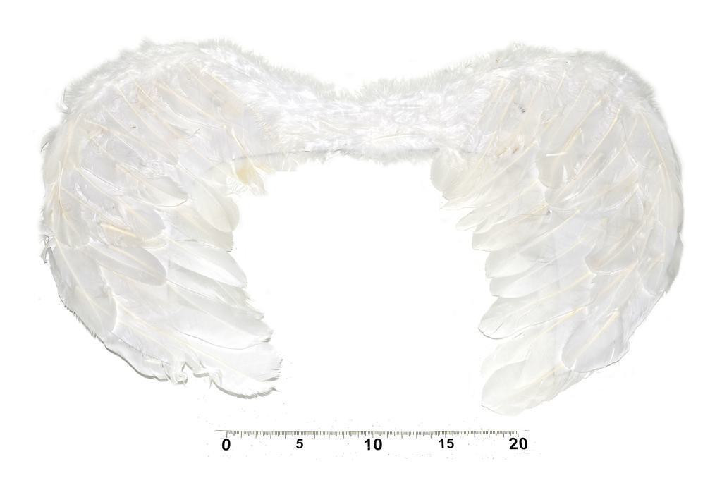 Wiky Andělská křídla 55x40 cm