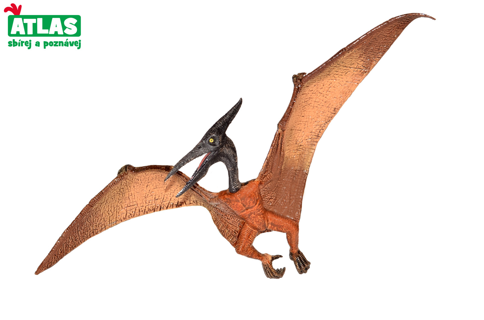 Atlas Figurka Dino Pteranodon 22 cm
