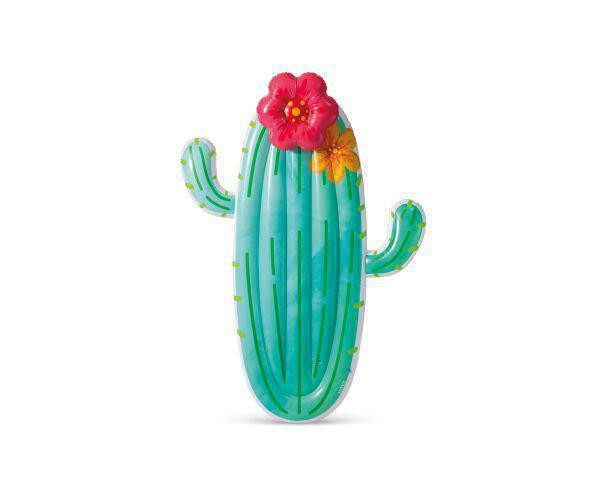 Intex Plovadlo kaktus