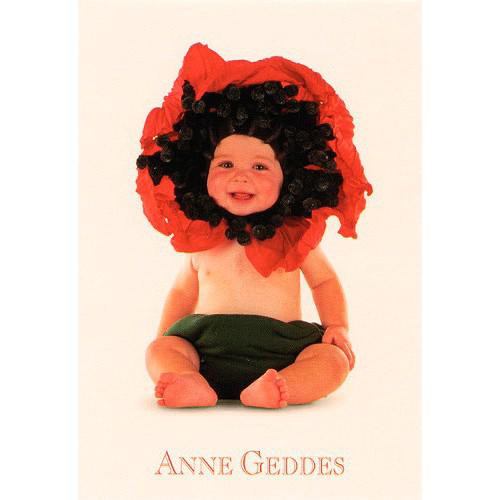 Anne Geddes Blahopřání mini - Vlčí mák