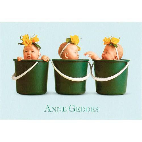 Anne Geddes Blahopřání mini - Zelená ve třech kbelících