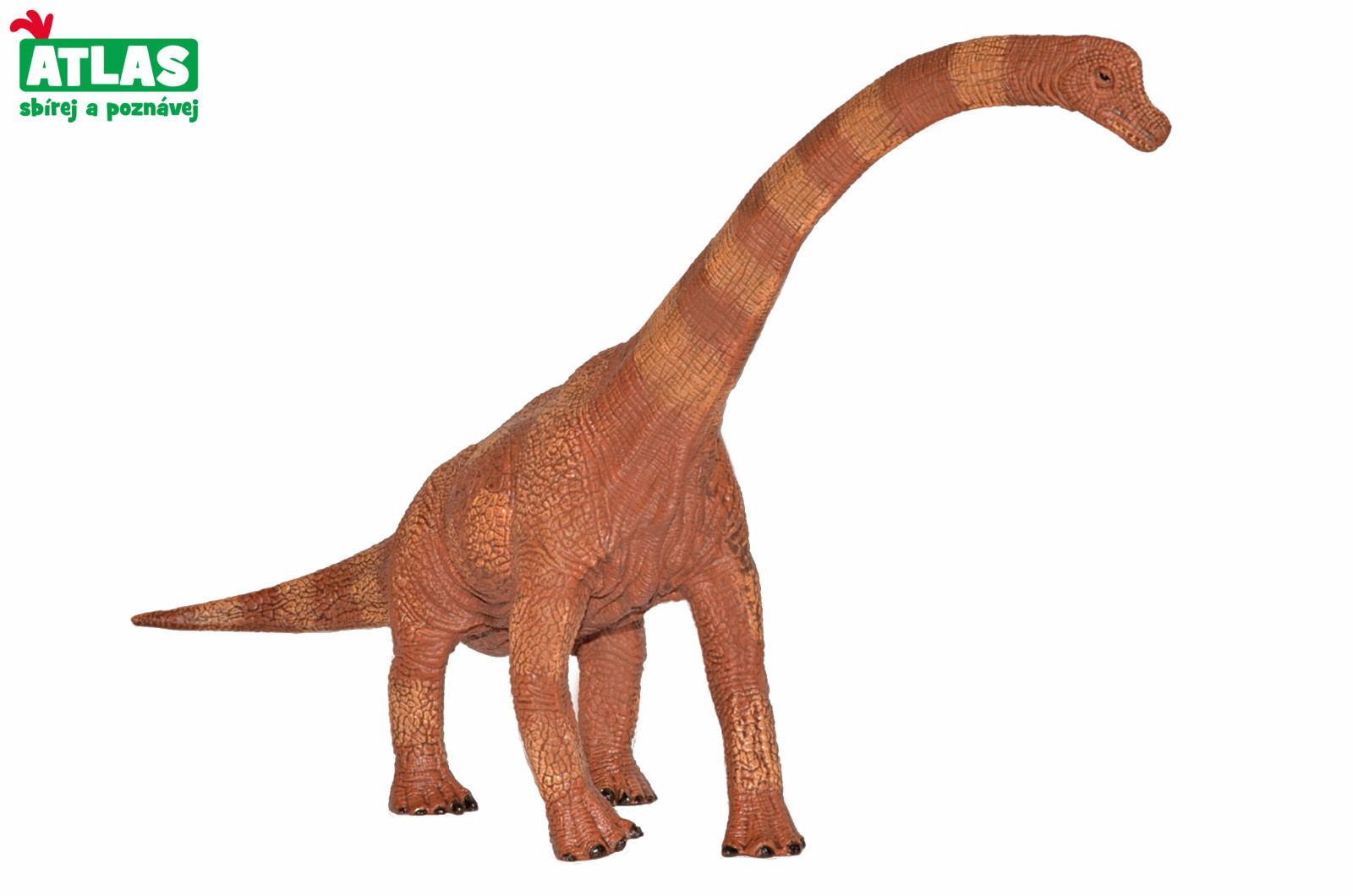 Atlas Figurka Dino Brachiosaurus 30 cm