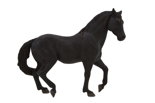 Mojo Andaluský černý kůň