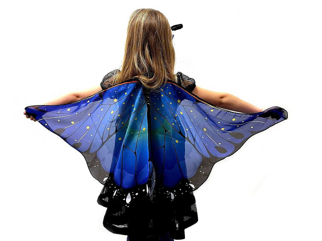 Stoklasa Karnevalový kostým - motýl