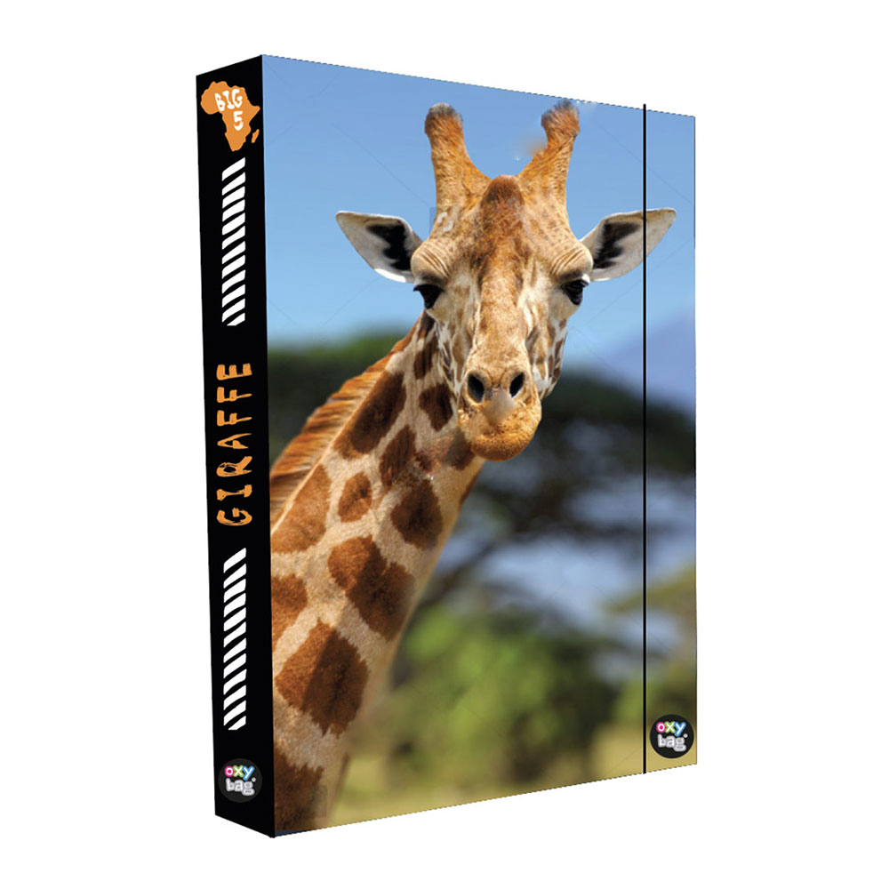 Karton P+P Box na sešity A4 Jumbo Žirafa