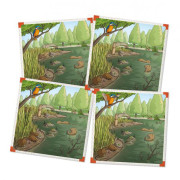 ALBI BrainBox Pod lupou - V divočině