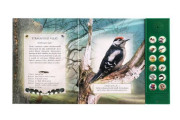 Zvuková knížka Ptáci našich lesů na baterie