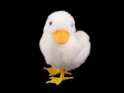 Velikonoční dekorace kačenka