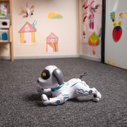 Pes na dálkové ovládání MXRD-100 bílý Maxlife