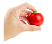 Small Foot Hmyzí káča se zvukem 1 ks