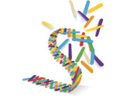 Vilac Hra Stick Boom