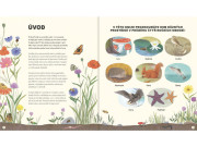 Příběhy ročních období Anna Wilson, Carolina Rabei