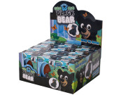 Medvěd černý líhnoucí a rostoucí 