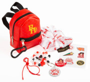 Minibatůžek 10 cm s doplňky Rainbow High