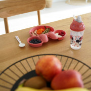 Dělený talíř Thermobaby