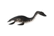 Plesiosaur zooted plast 23 cm