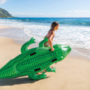 Vodní vozidlo Aligátor