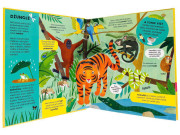 Úžasná zvířata POP-UP Catherine Ard, Melanie Mikecz