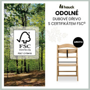 Dřevěná židle Arketa dub masiv Hauck