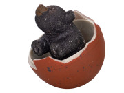 Medvěd černý líhnoucí a rostoucí 