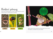 Z jehněte ovce, z pulce žába - Životní cyklus