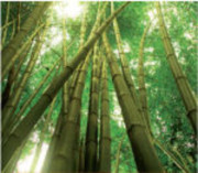 Chránič matrace bambus - polyuretan 75 x 35 cm