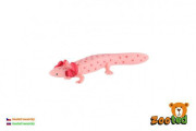 Axolotl mexický zooted plast 8 cm 