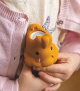 Dětská baterka Rabbit and Friends