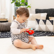 Hračka hudební senzorická Roxy's Bright Flight™ 3 m+ Baby Einstein