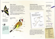 Putování přírodou – stromy, květiny, ptáci