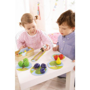 Moje první hra pro děti Ovocný sad v českém jazyce Haba 2. JAKOST