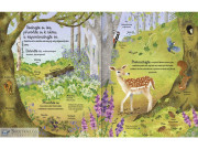 Kniha lesa Emily Bone, Alice James, ilustrace Nat Hues