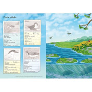 Svět zvířat v samolepkách Naši ptáci