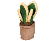 Plyšové pokojové rostliny 12-17 cm 0 m+Take Me Home