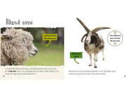 Z jehněte ovce, z pulce žába - Životní cyklus