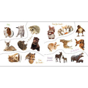 Velké nálepky pro malé ručičky Mláďata