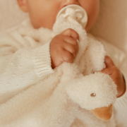 Muchláček husa Newborn Naturals Little Dutch