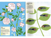 Můj samolepkový sešit o přírodě Hmyz ze zahrady