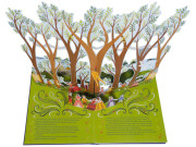 Labutí jezero- prostorové leporelo Ruth Symons, Jenny Zemanek