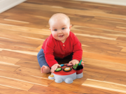 Hudební beruška Alphabet & Colors Infantino