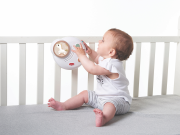 Hudební kolotoč Unicorn Wonderlands Tiny Love