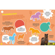 Poznávací samolepková knížka Koně